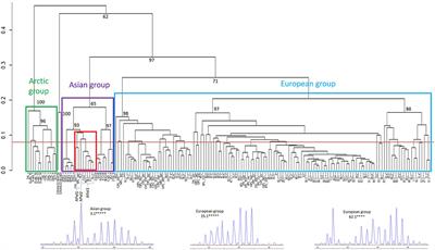 Asian Admixture in European Echinococcus multilocularis Populations: New Data From Poland Comparing EmsB Microsatellite Analyses and Mitochondrial Sequencing